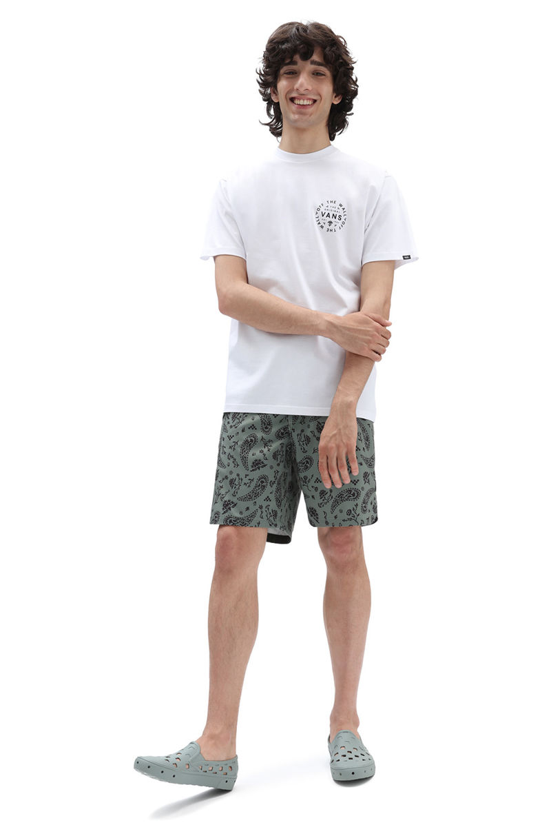 aktif-WHITE-VN0A7PLTWHT1-0004791_0