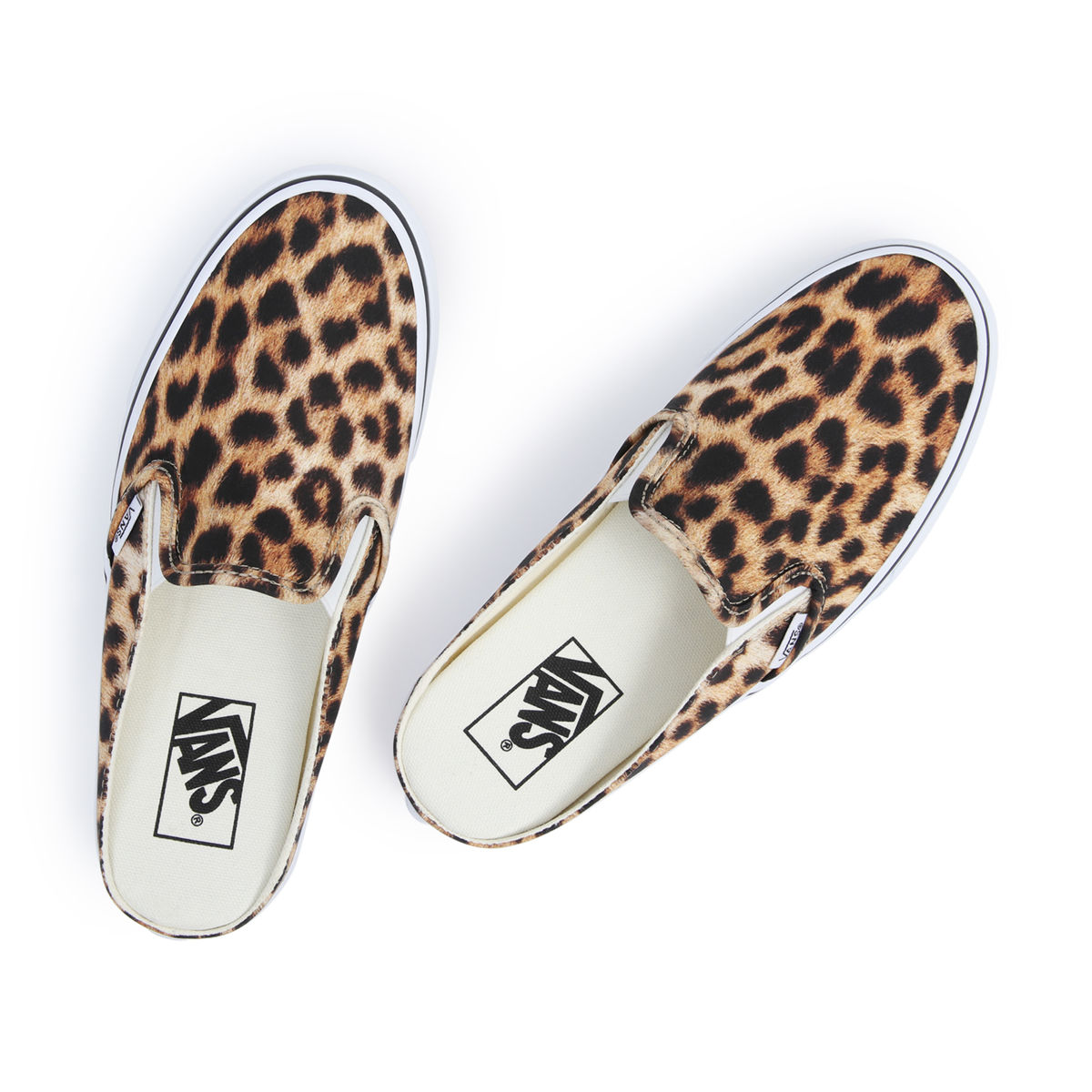 aktif-LEOPAR-VN0A4P3ULPR1-0004889_0